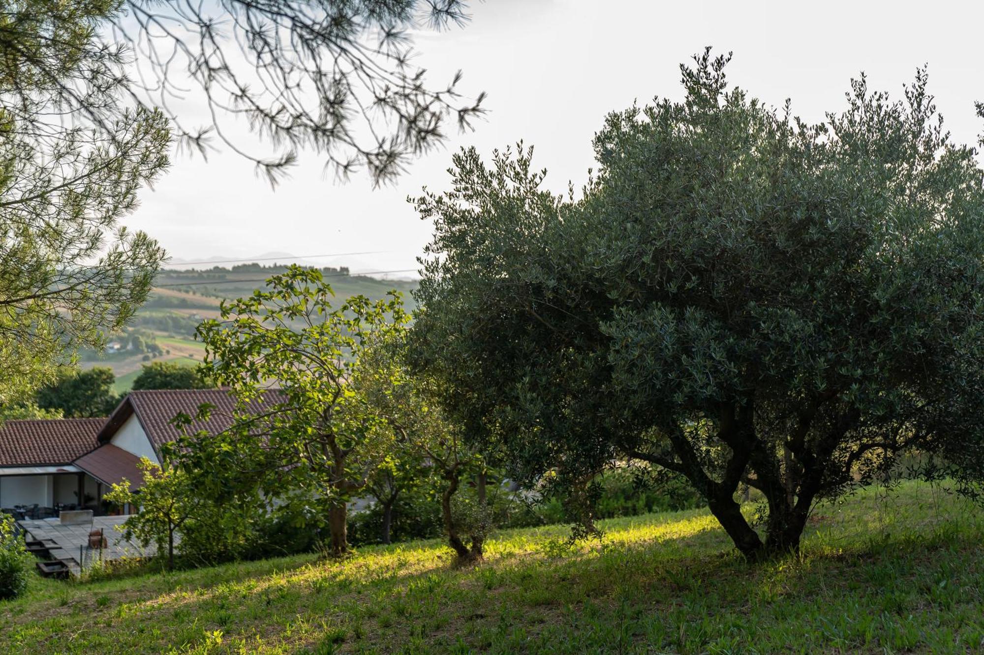 B&B La Figuretta Iesi Exterior photo