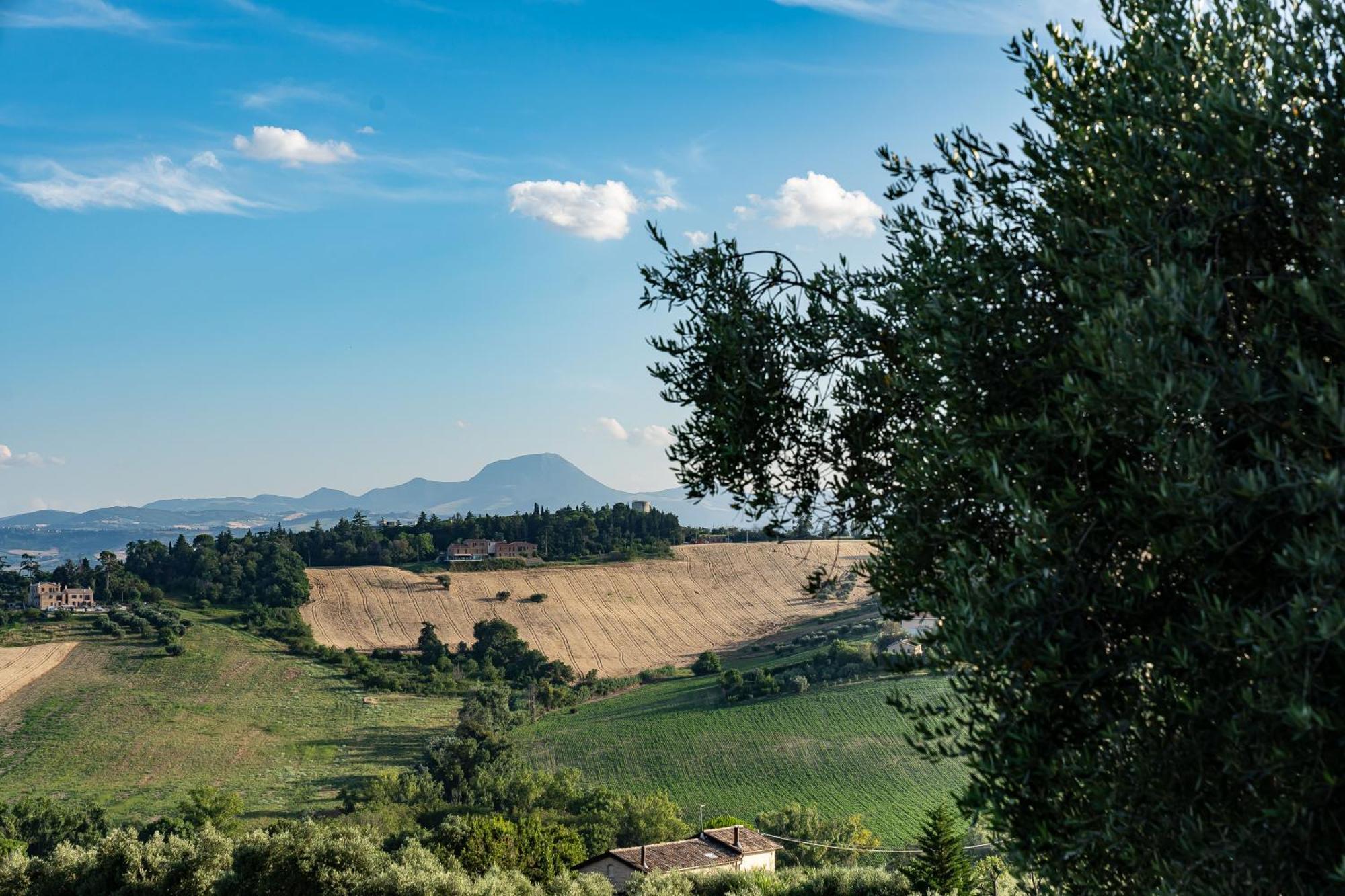 B&B La Figuretta Iesi Exterior photo