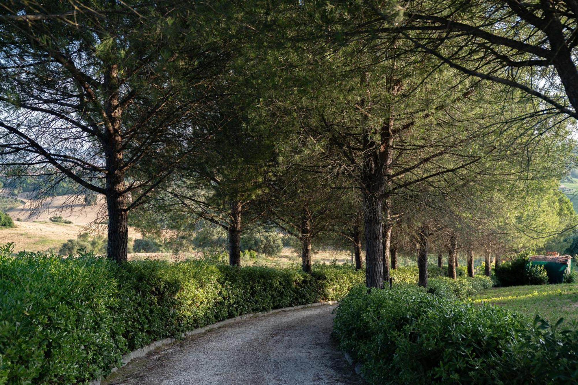 B&B La Figuretta Iesi Exterior photo
